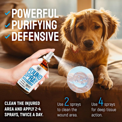 Wound Spray for Pets – Colloidal Silver Wound Care for Dogs & Cats – Helps with Skin Irritation, Hot Spots, Rashes, Scratching, Itch, Bites & Burns – Use a Dog Cone – 4 oz