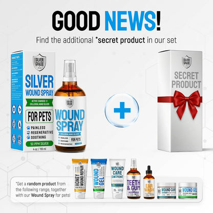 Wound Spray for Pets – Colloidal Silver Wound Care for Dogs & Cats – Helps with Skin Irritation, Hot Spots, Rashes, Scratching, Itch, Bites & Burns – Use a Dog Cone – 4 oz