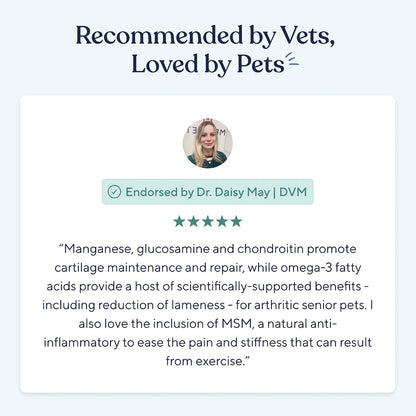 Hip & Joint Supplement for Dogs - Glucosamine Chondroitin & MSM