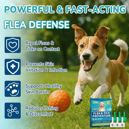 Flea and Tick Prevention for Small Dogs (5 to 22 lbs), Dog Flea Treatment