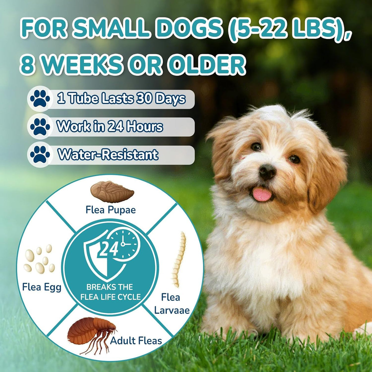 Flea and Tick Prevention for Small Dogs (5 to 22 lbs), Dog Flea Treatment