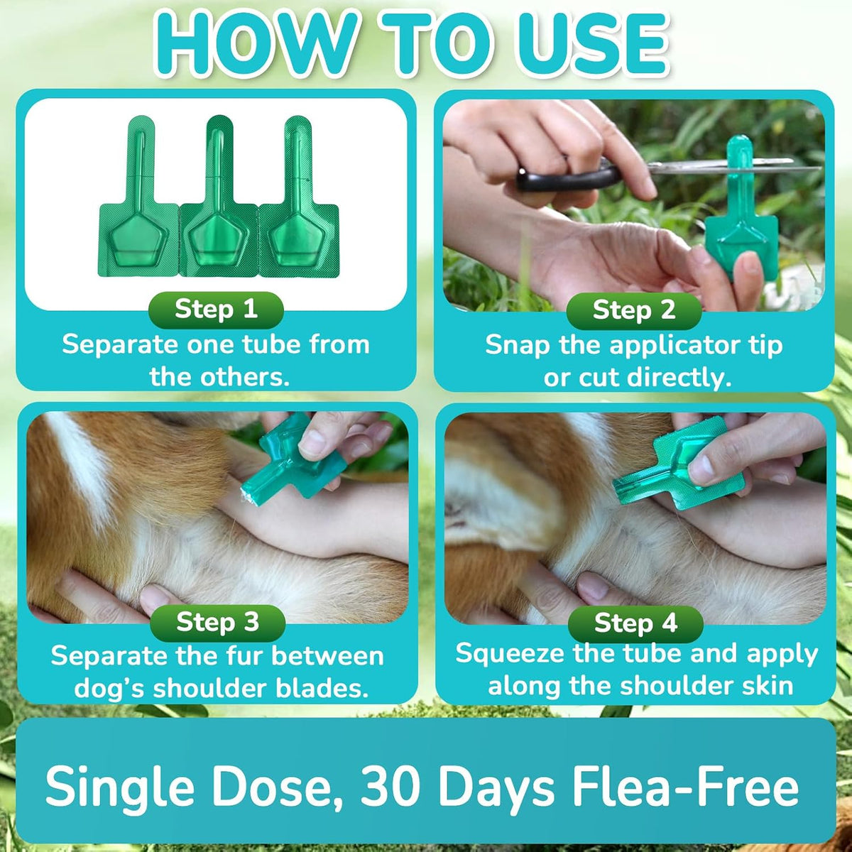 Flea and Tick Prevention for Small Dogs (5 to 22 lbs), Dog Flea Treatment