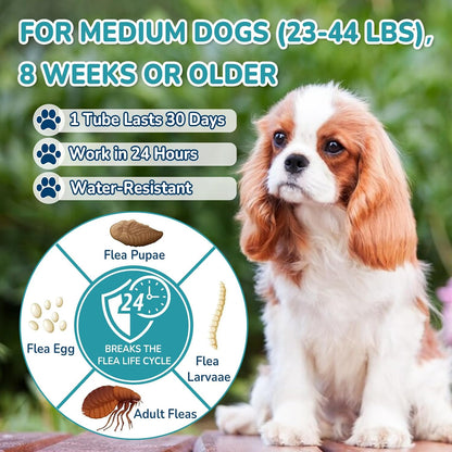 Flea and Tick Prevention for Small Dogs (5 to 22 lbs), Dog Flea Treatment
