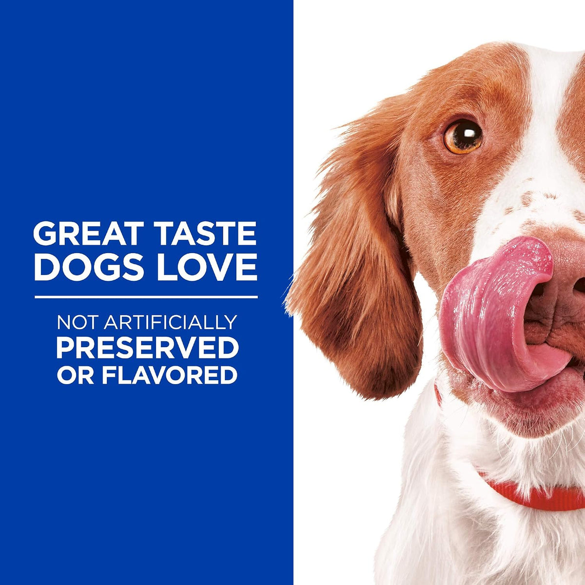 Grain Free Soft-Baked Naturals Dog Treats, Duck & Pumpkin