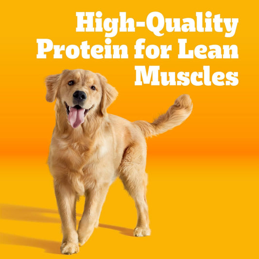 High Protein Adult Dry Dog Food, Beef and Lamb, 18 lb