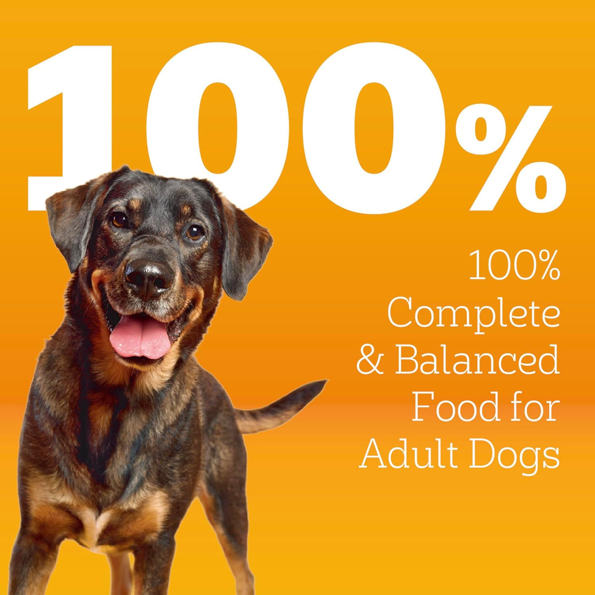 High Protein Adult Dry Dog Food, Beef and Lamb, 18 lb
