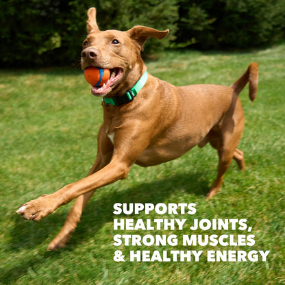 Proactive Health High Protein Dry Dog Food, Chicken & Beef, 30 lb
