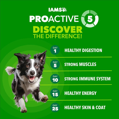 Proactive Health High Protein Dry Dog Food, Chicken & Beef, 30 lb