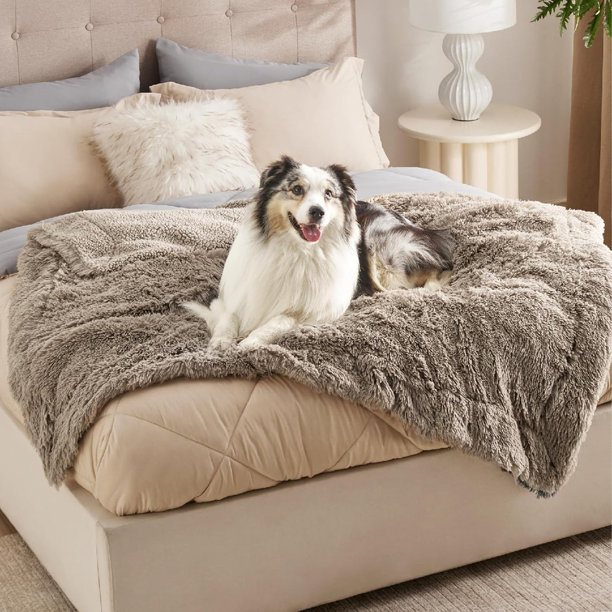 Waterproof Dog Blankets for Large Dogs, Fluffy Faux Fur, 50×60" | Plush Fuzzy Reversible Pet Blankets for Couch and Dog Bed, Soft Calming Throw Cat Blanket Washable, Dog Gift, Tie-dye Grey