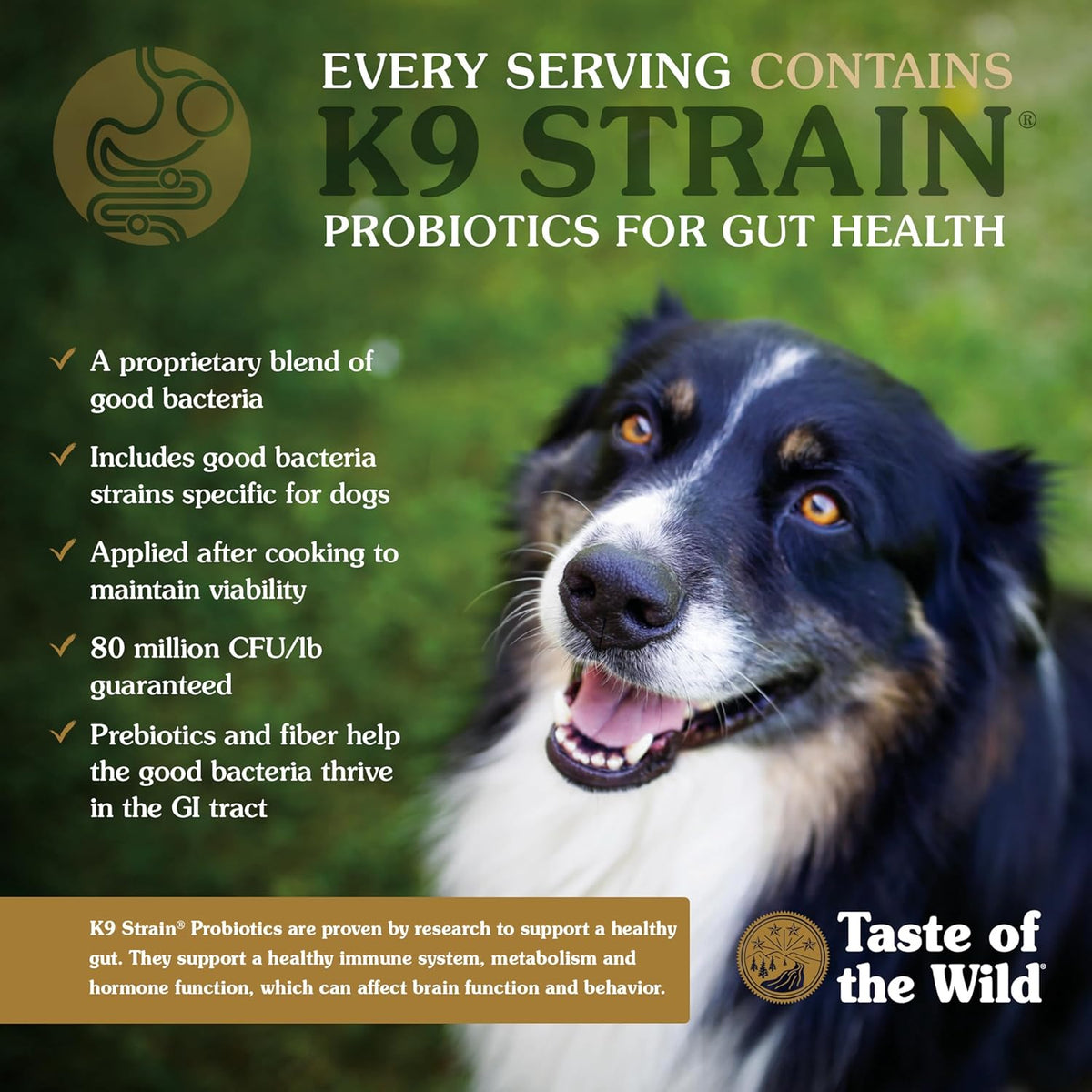 High Prairie Adult Dry Dog Food, Roasted Bison, 28lb