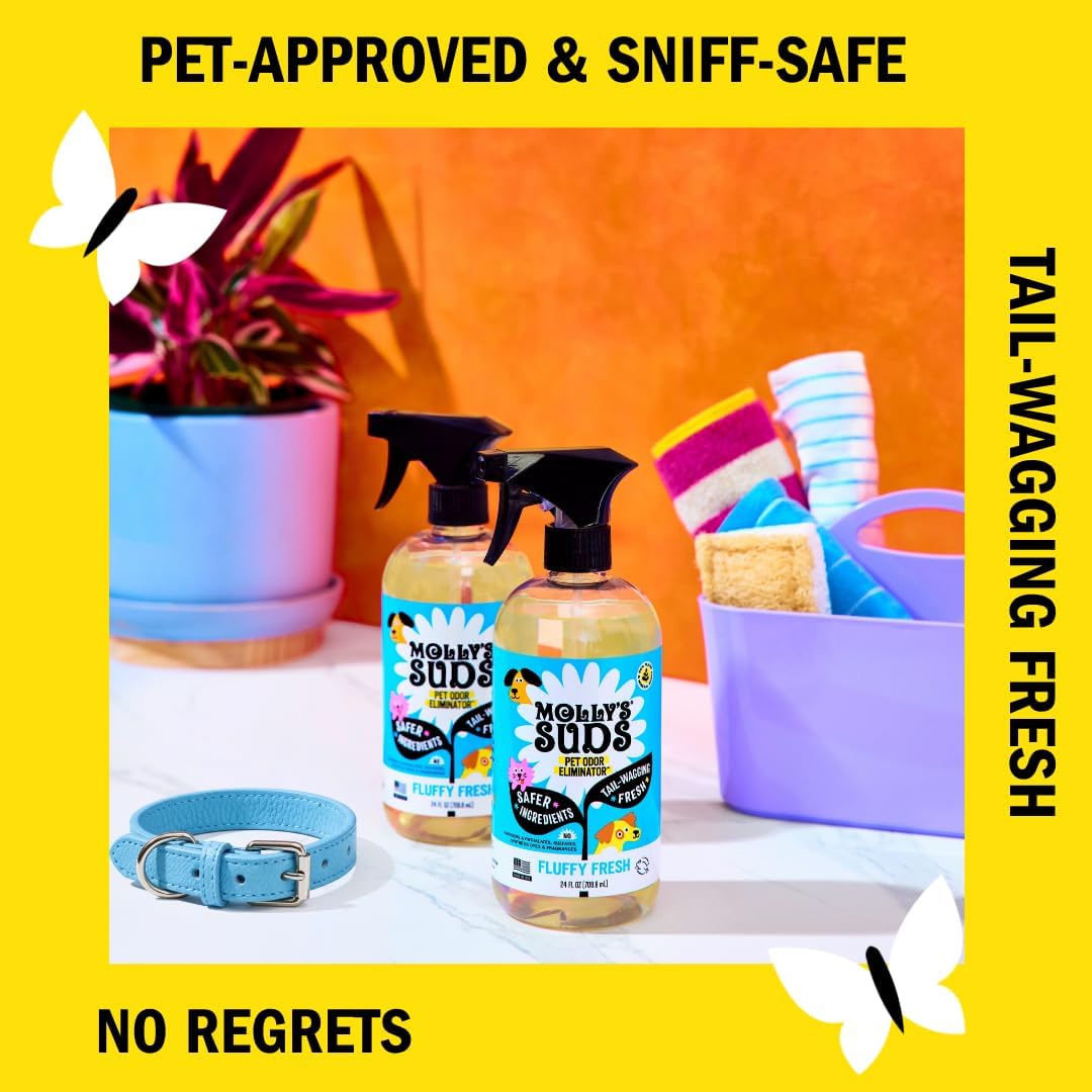 Pet Odor Eliminator Spray for Dog and Cat Urine, Carpet Stains, and Strong Smells – Cleaner with Essential Oils (Furry Fresh, 24 Fl Oz)