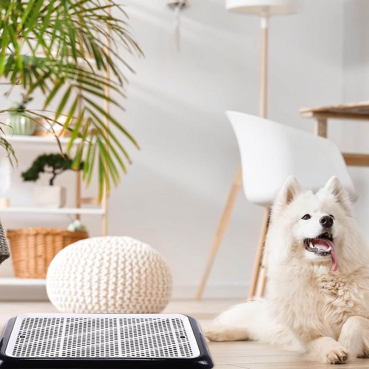 1 Pcs Dog Pee Pad Holder Potty Tray Portable Dog Litter Box Toilet Training for Small Medium Large Pet Puppy Indoor Outdoor