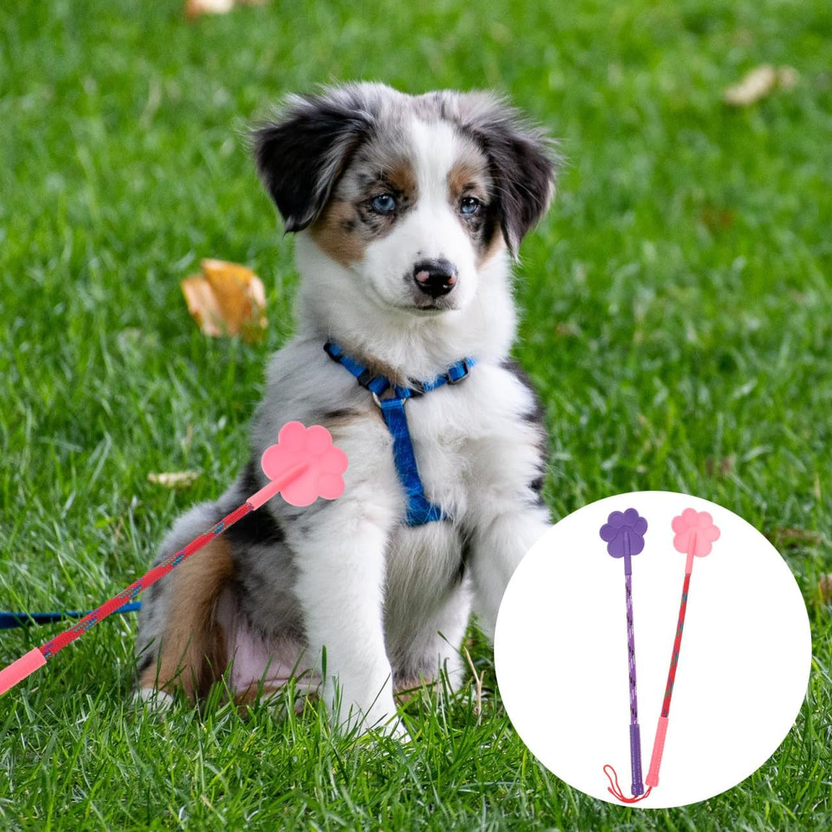 2 pcs Dog Training Paw Shape Flexible Pet Training Tool for Puppy Obedience Behavior Correction Lure Play Lightweight No Hurt Pet Accessory