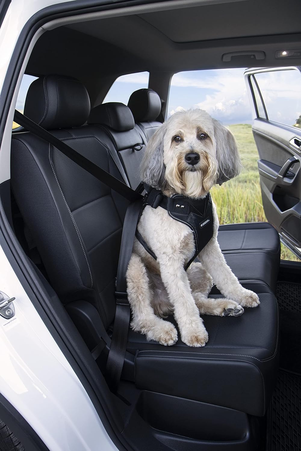 Crash-Tested Multipurpose Seatbelt Dog Harness - Black, Large