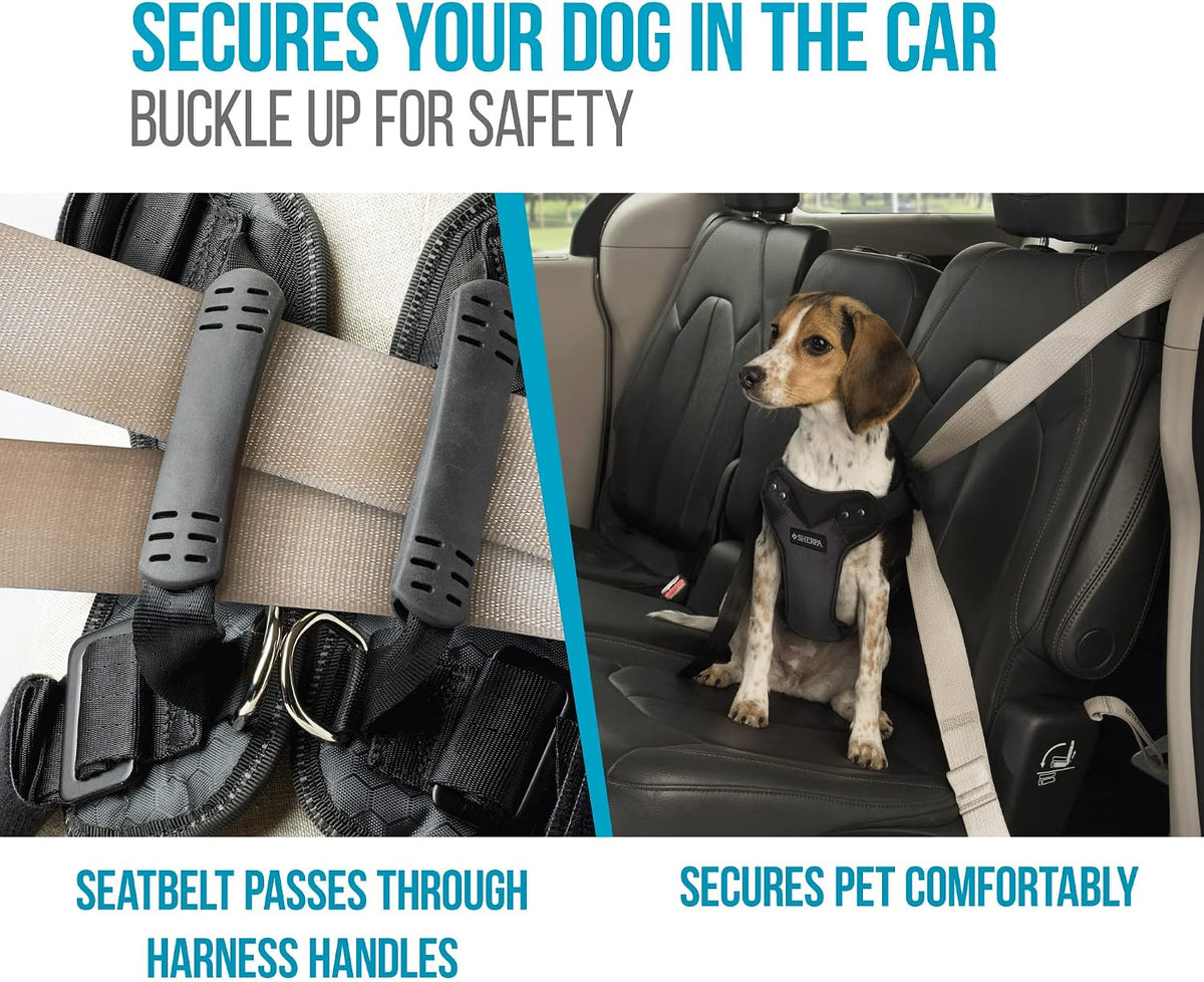 Crash-Tested Multipurpose Seatbelt Dog Harness - Black, Large