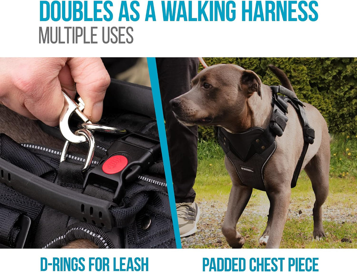 Crash-Tested Multipurpose Seatbelt Dog Harness - Black, Large