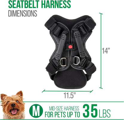 Crash-Tested Multipurpose Seatbelt Dog Harness - Black, Large