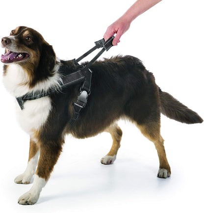 Crash-Tested Multipurpose Seatbelt Dog Harness - Black, Large