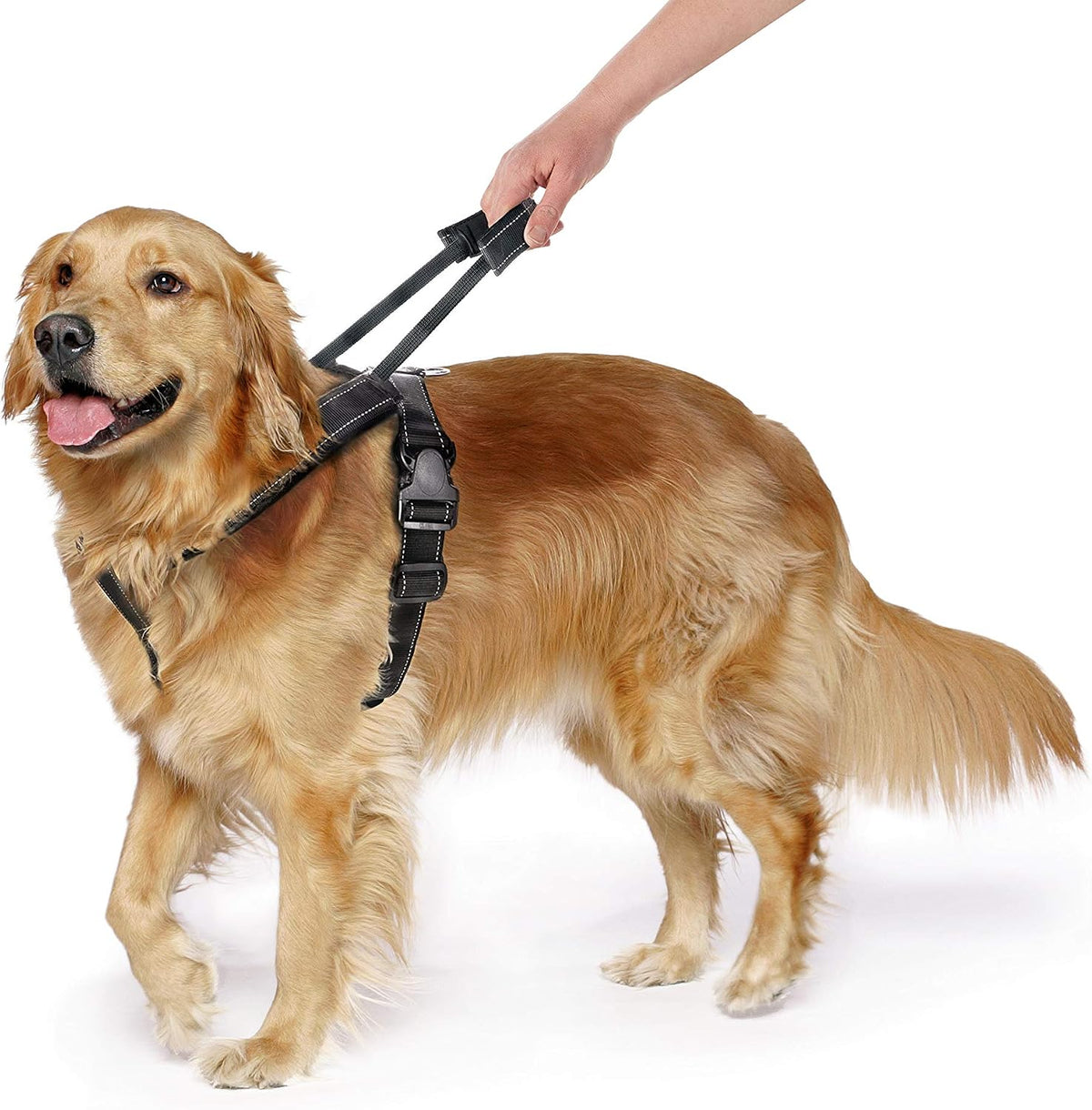 Crash-Tested Multipurpose Seatbelt Dog Harness - Black, Large