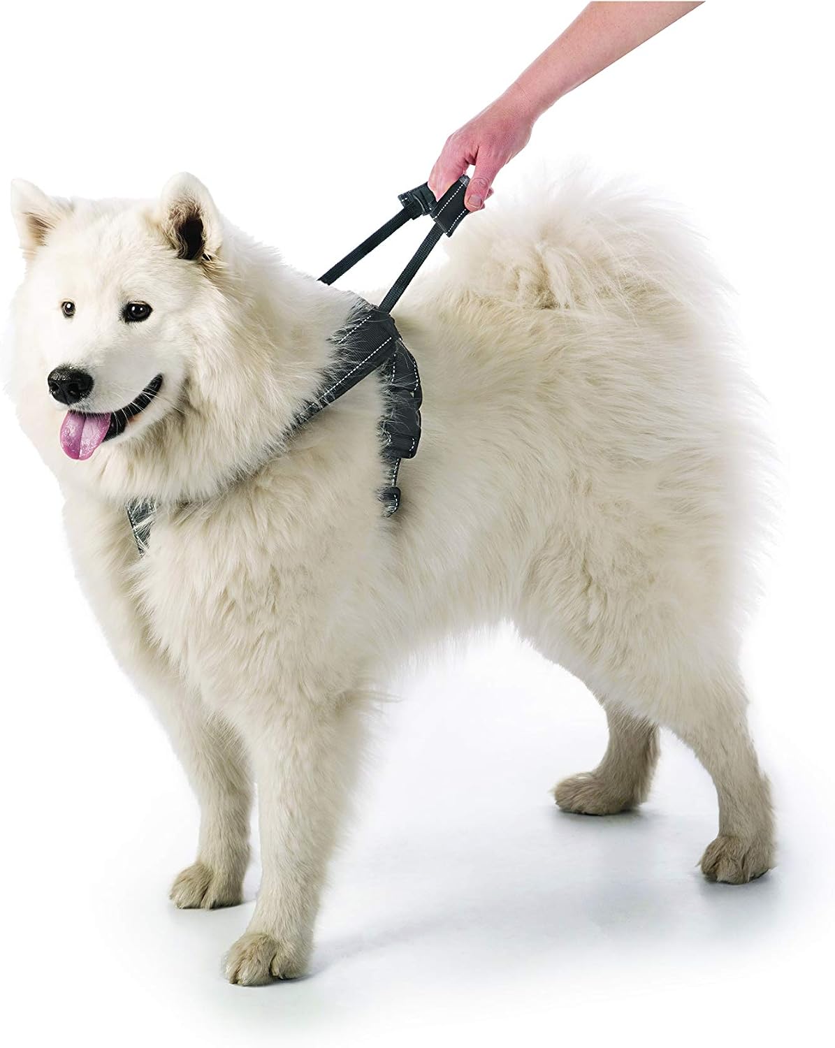 Crash-Tested Multipurpose Seatbelt Dog Harness - Black, Large