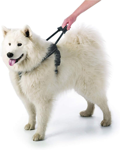 Crash-Tested Multipurpose Seatbelt Dog Harness - Black, Large