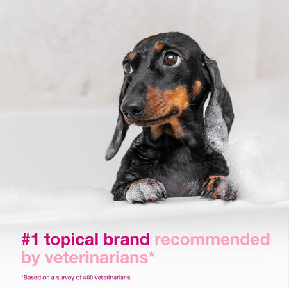 S3 Calm Dog Shampoo for Itchy Skin Relief, Dog Shampoo for Allergies and Itching, Soothes Itchy, Irritated or Allergic Skin For Dogs and Cats, 6.7 fl oz