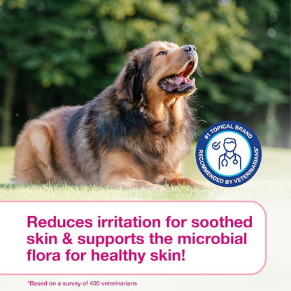 S3 Calm Dog Shampoo for Itchy Skin Relief, Dog Shampoo for Allergies and Itching, Soothes Itchy, Irritated or Allergic Skin For Dogs and Cats, 6.7 fl oz