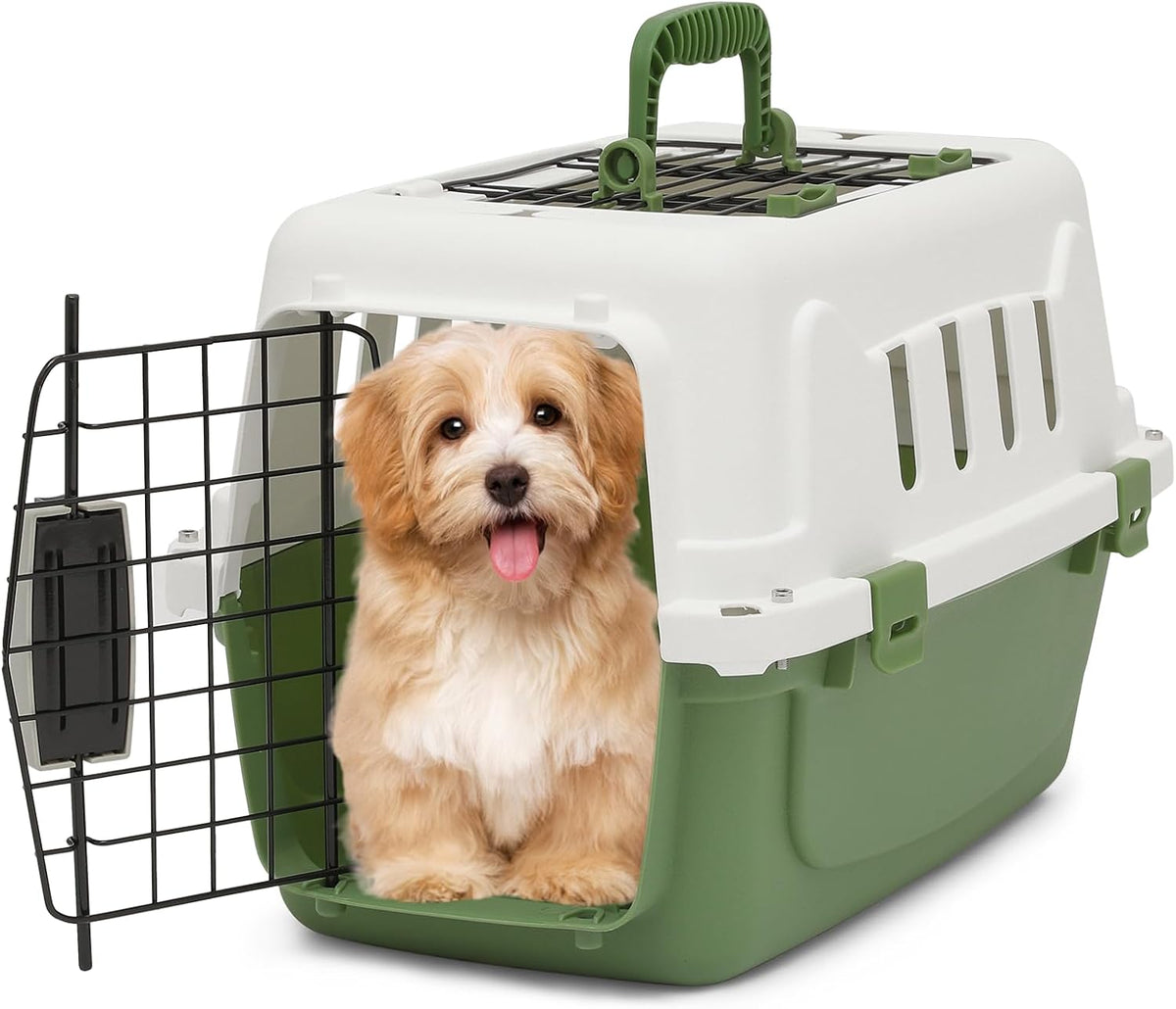 18-Inch 2-Door Top Loading Cat Carrier, Plastic Dog Crate Hard-Sided Dog Travel Carrier for Small Dogs and Cats, Ventilation and Security Lock Design for Pets up to 10 lbs (Green)