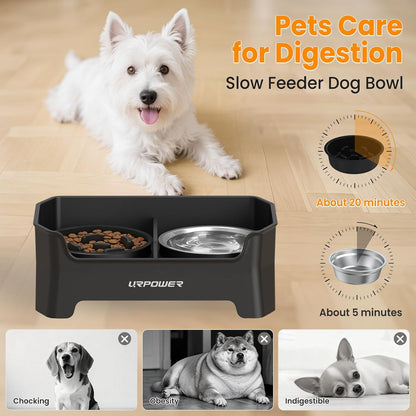 Elevated Dog Bowls, 3-in-1 Double Deck Raised Dog Bowl Stand | 4 Height Adjustable Raised Stand with 2 Stainless Steel Food Bowls & Licking Plate for Small, Medium & Large Dogs