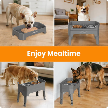 Elevated Dog Bowls, 3-in-1 Double Deck Raised Dog Bowl Stand | 4 Height Adjustable Raised Stand with 2 Stainless Steel Food Bowls & Licking Plate for Small, Medium & Large Dogs