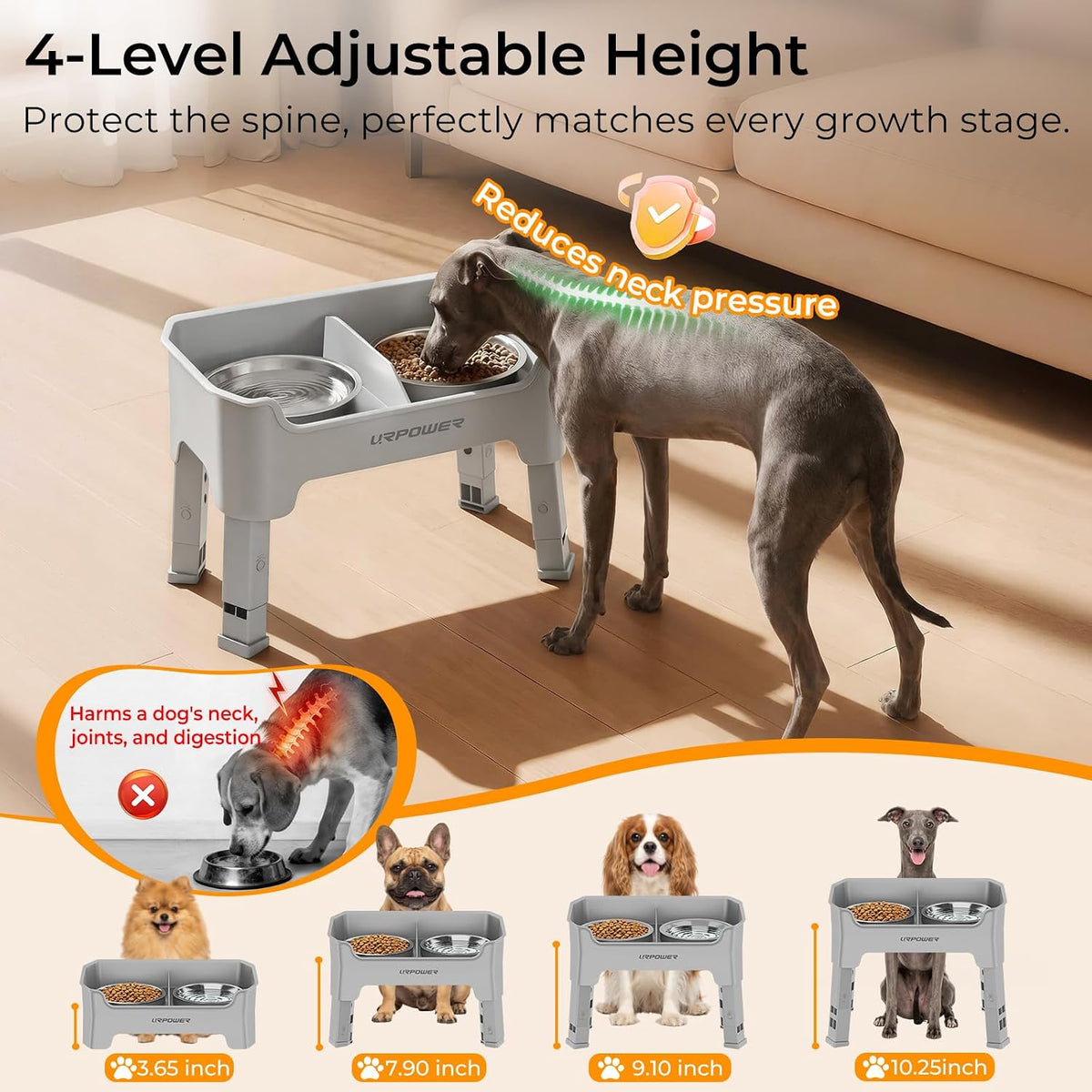 Elevated Dog Bowls, 3-in-1 Double Deck Raised Dog Bowl Stand | 4 Height Adjustable Raised Stand with 2 Stainless Steel Food Bowls & Licking Plate for Small, Medium & Large Dogs