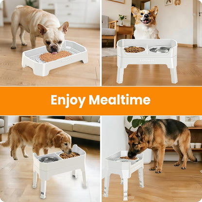 Elevated Dog Bowls, 3-in-1 Double Deck Raised Dog Bowl Stand | 4 Height Adjustable Raised Stand with 2 Stainless Steel Food Bowls & Licking Plate for Small, Medium & Large Dogs