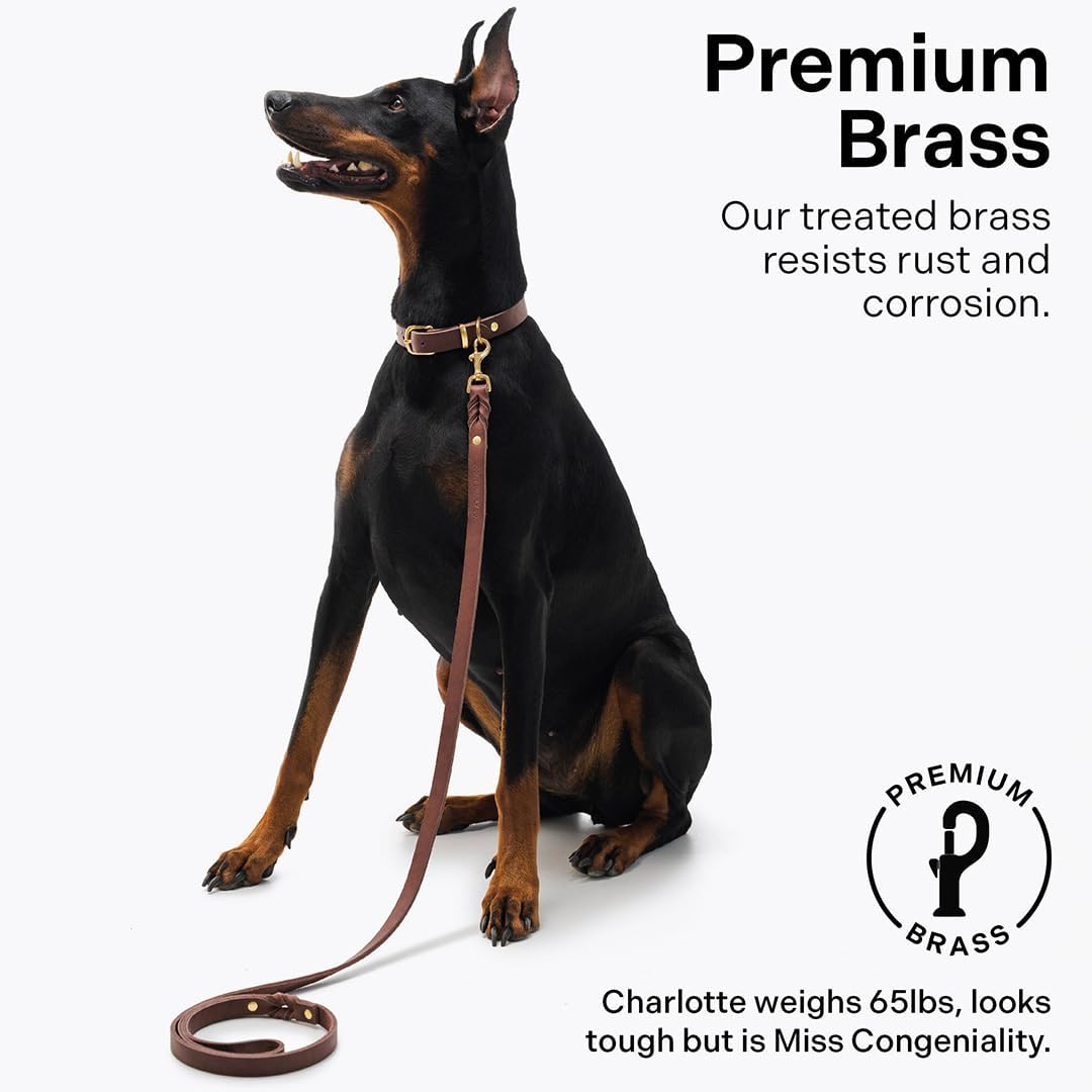 Scout Supply Classic Leather Dog Leash | Strong Heavy Duty Thick Full Grain Leather | Waterproof & Rust-Proof Brass Hardware (Dark Brown, M: 4.5 ft x 1/2 in)
