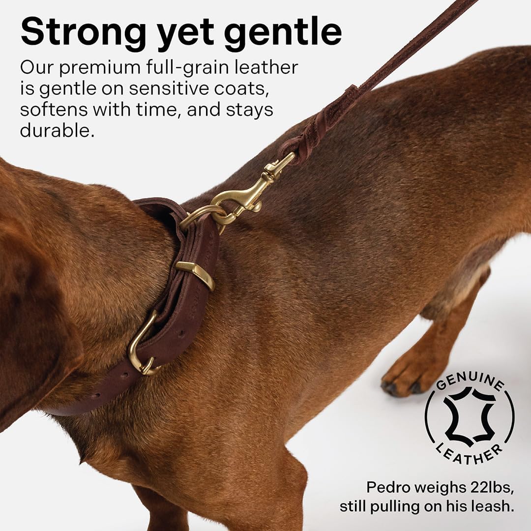 Scout Supply Classic Leather Dog Leash | Strong Heavy Duty Thick Full Grain Leather | Waterproof & Rust-Proof Brass Hardware (Dark Brown, M: 4.5 ft x 1/2 in)