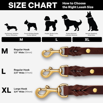 Scout Supply Classic Leather Dog Leash | Strong Heavy Duty Thick Full Grain Leather | Waterproof & Rust-Proof Brass Hardware (Dark Brown, M: 4.5 ft x 1/2 in)