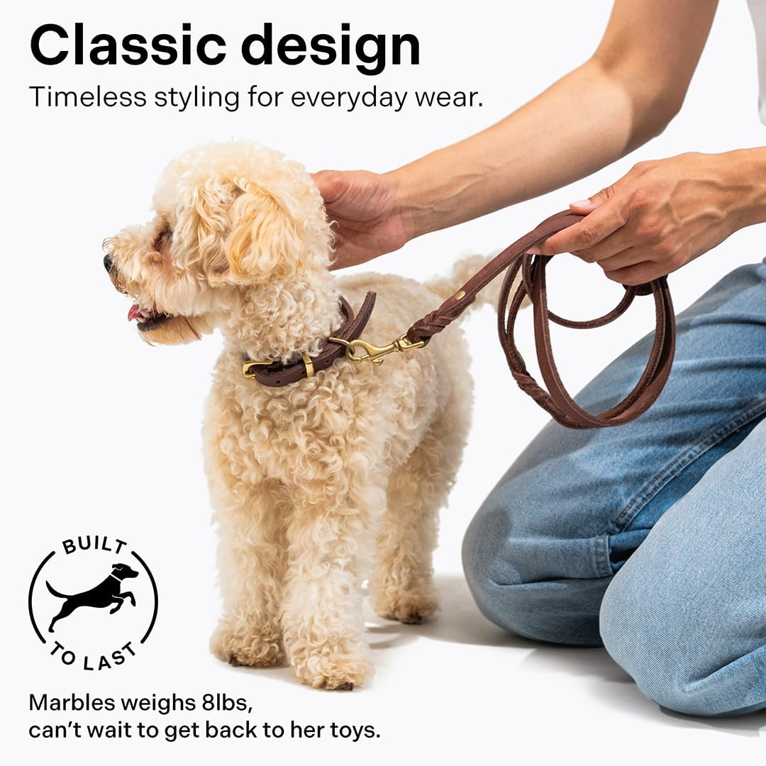 Scout Supply Classic Leather Dog Leash | Strong Heavy Duty Thick Full Grain Leather | Waterproof & Rust-Proof Brass Hardware (Dark Brown, M: 4.5 ft x 1/2 in)