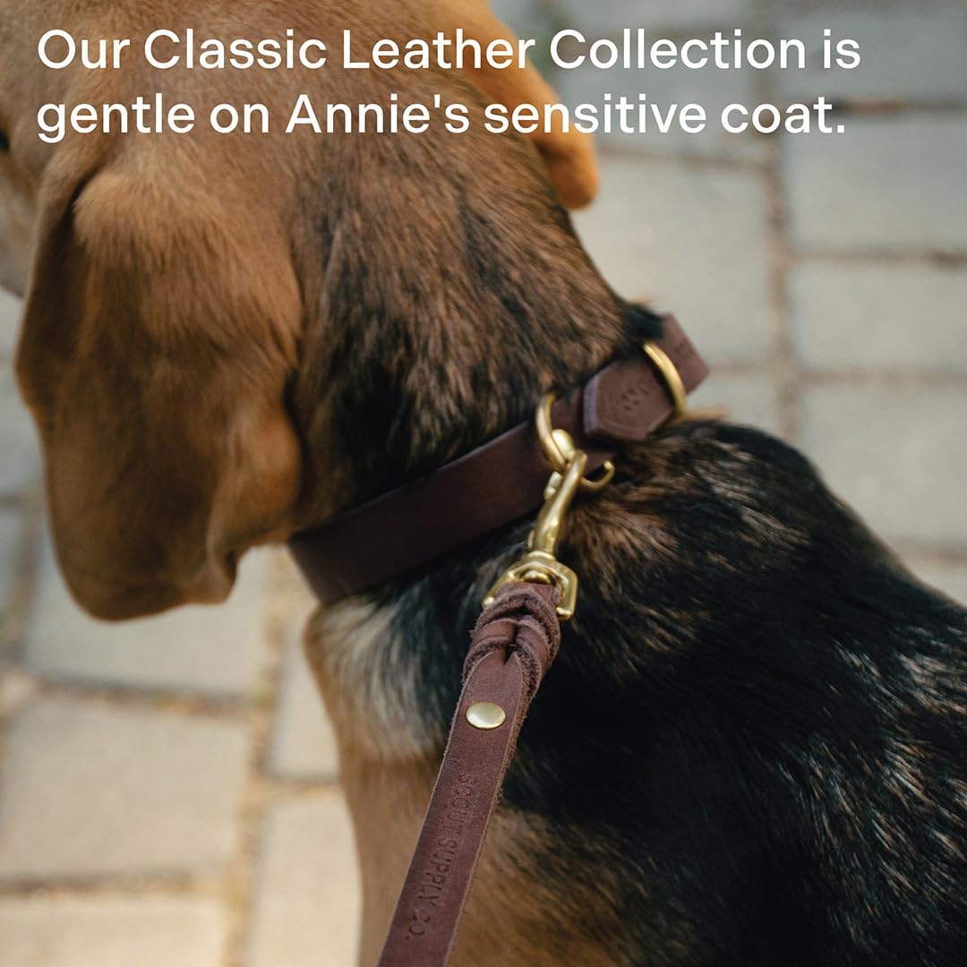 Scout Supply Classic Leather Dog Leash | Strong Heavy Duty Thick Full Grain Leather | Waterproof & Rust-Proof Brass Hardware (Dark Brown, M: 4.5 ft x 1/2 in)
