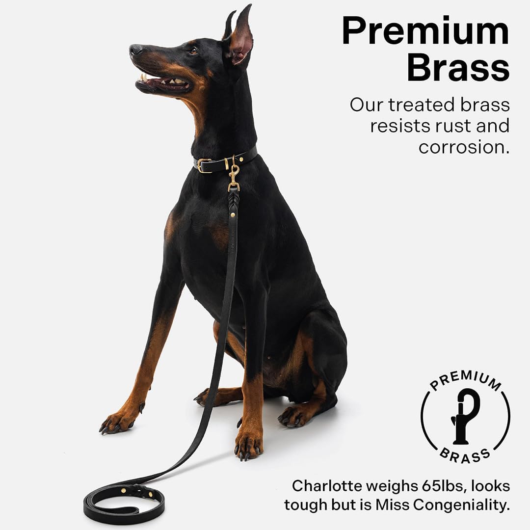 Scout Supply Classic Leather Dog Leash | Strong Heavy Duty Thick Full Grain Leather | Waterproof & Rust-Proof Brass Hardware (Dark Brown, M: 4.5 ft x 1/2 in)