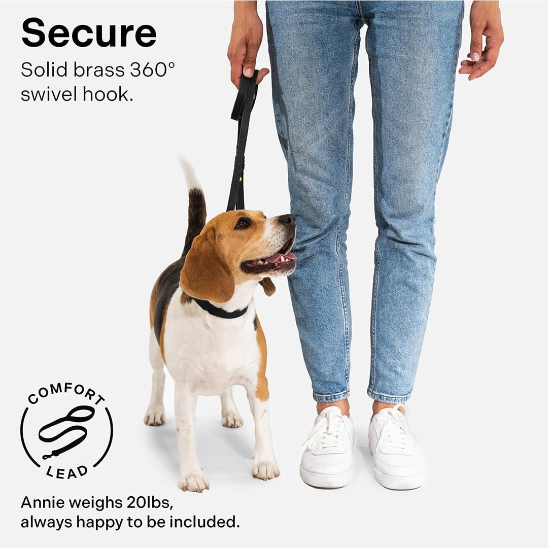 Scout Supply Classic Leather Dog Leash | Strong Heavy Duty Thick Full Grain Leather | Waterproof & Rust-Proof Brass Hardware (Dark Brown, M: 4.5 ft x 1/2 in)