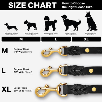 Scout Supply Classic Leather Dog Leash | Strong Heavy Duty Thick Full Grain Leather | Waterproof & Rust-Proof Brass Hardware (Dark Brown, M: 4.5 ft x 1/2 in)