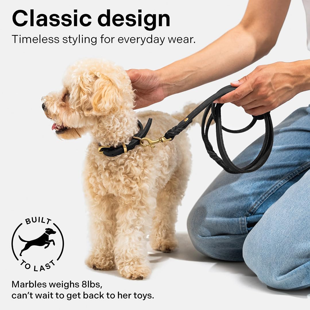Scout Supply Classic Leather Dog Leash | Strong Heavy Duty Thick Full Grain Leather | Waterproof & Rust-Proof Brass Hardware (Dark Brown, M: 4.5 ft x 1/2 in)