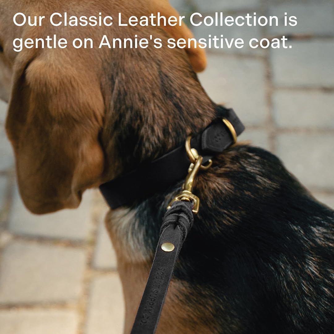 Scout Supply Classic Leather Dog Leash | Strong Heavy Duty Thick Full Grain Leather | Waterproof & Rust-Proof Brass Hardware (Dark Brown, M: 4.5 ft x 1/2 in)