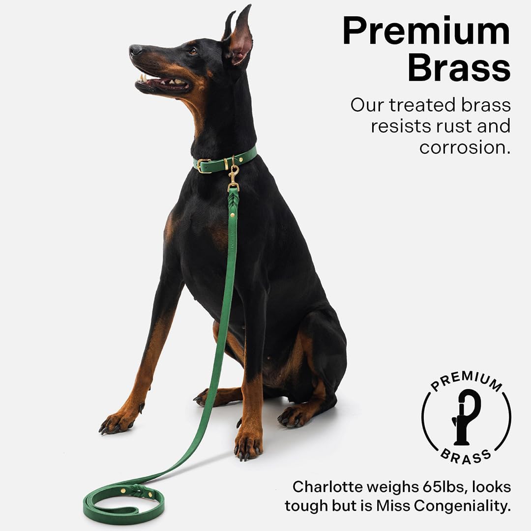 Scout Supply Classic Leather Dog Leash | Strong Heavy Duty Thick Full Grain Leather | Waterproof & Rust-Proof Brass Hardware (Dark Brown, M: 4.5 ft x 1/2 in)