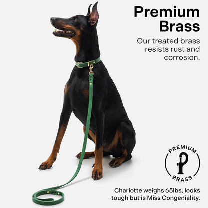 Scout Supply Classic Leather Dog Leash | Strong Heavy Duty Thick Full Grain Leather | Waterproof & Rust-Proof Brass Hardware (Dark Brown, M: 4.5 ft x 1/2 in)