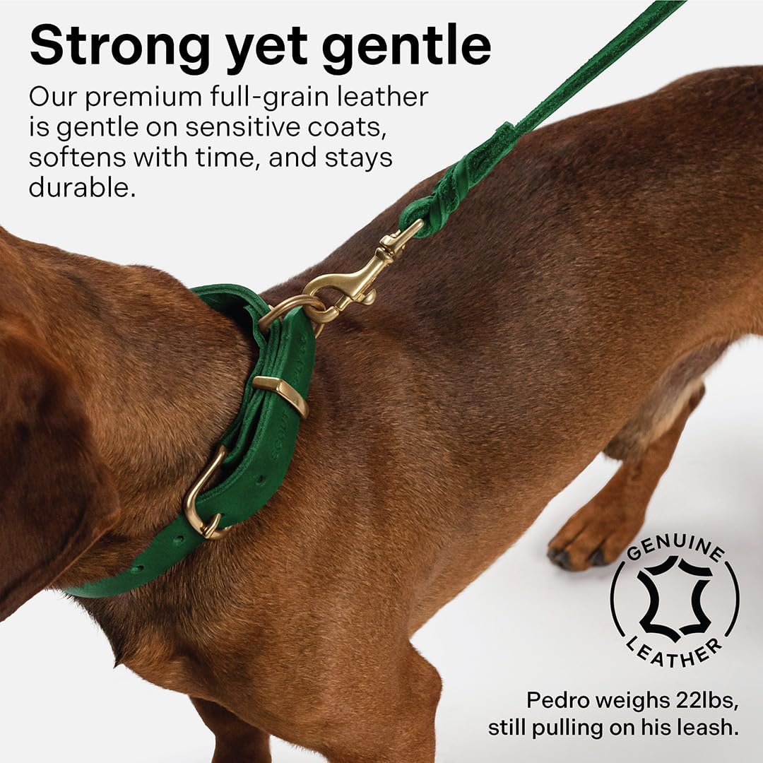 Scout Supply Classic Leather Dog Leash | Strong Heavy Duty Thick Full Grain Leather | Waterproof & Rust-Proof Brass Hardware (Dark Brown, M: 4.5 ft x 1/2 in)