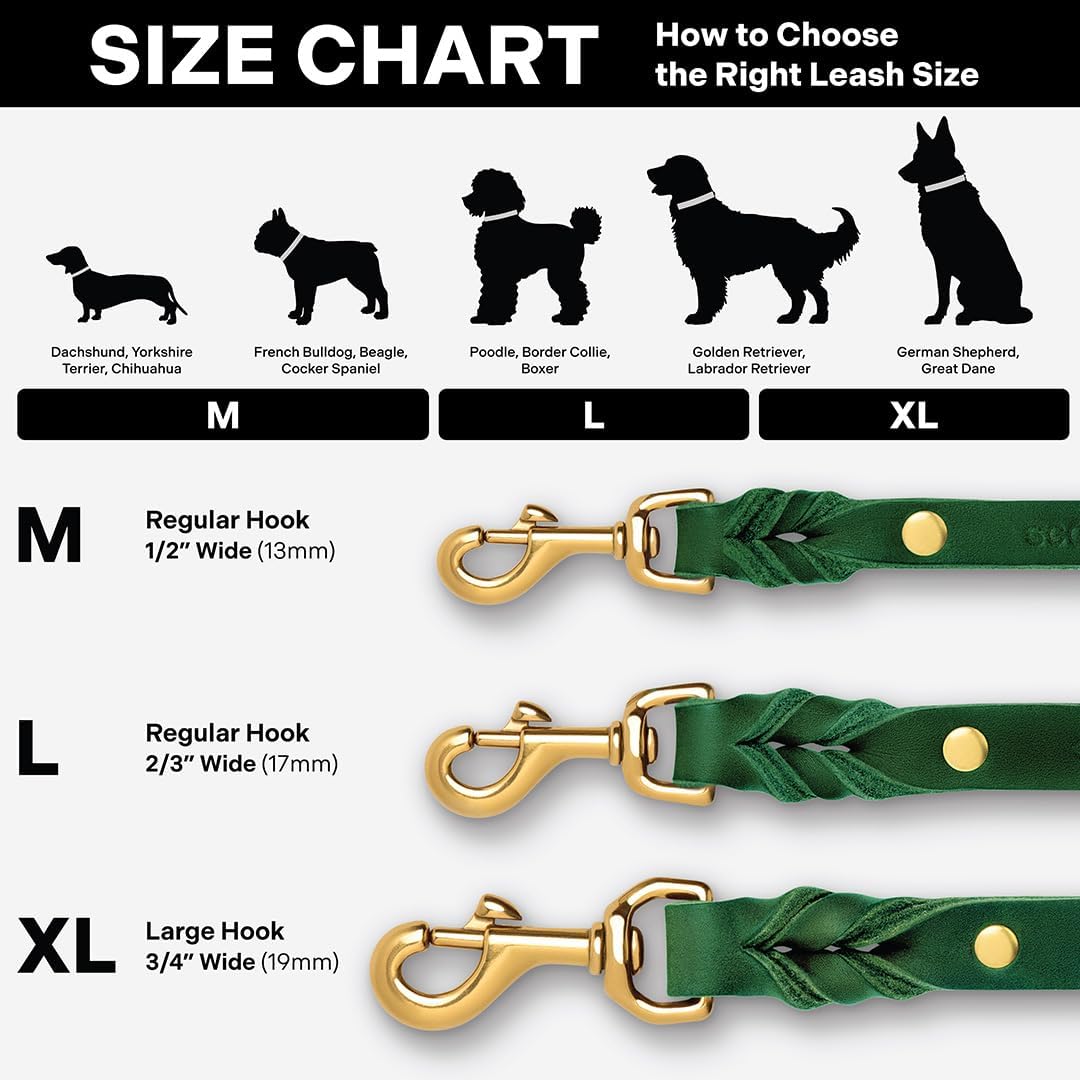 Scout Supply Classic Leather Dog Leash | Strong Heavy Duty Thick Full Grain Leather | Waterproof & Rust-Proof Brass Hardware (Dark Brown, M: 4.5 ft x 1/2 in)