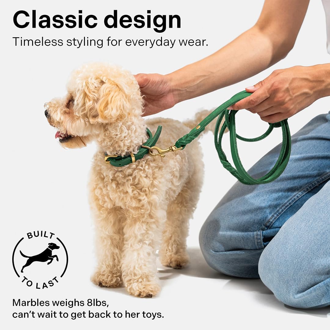 Scout Supply Classic Leather Dog Leash | Strong Heavy Duty Thick Full Grain Leather | Waterproof & Rust-Proof Brass Hardware (Dark Brown, M: 4.5 ft x 1/2 in)