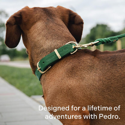 Scout Supply Classic Leather Dog Leash | Strong Heavy Duty Thick Full Grain Leather | Waterproof & Rust-Proof Brass Hardware (Dark Brown, M: 4.5 ft x 1/2 in)