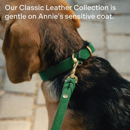 Scout Supply Classic Leather Dog Leash | Strong Heavy Duty Thick Full Grain Leather | Waterproof & Rust-Proof Brass Hardware (Dark Brown, M: 4.5 ft x 1/2 in)