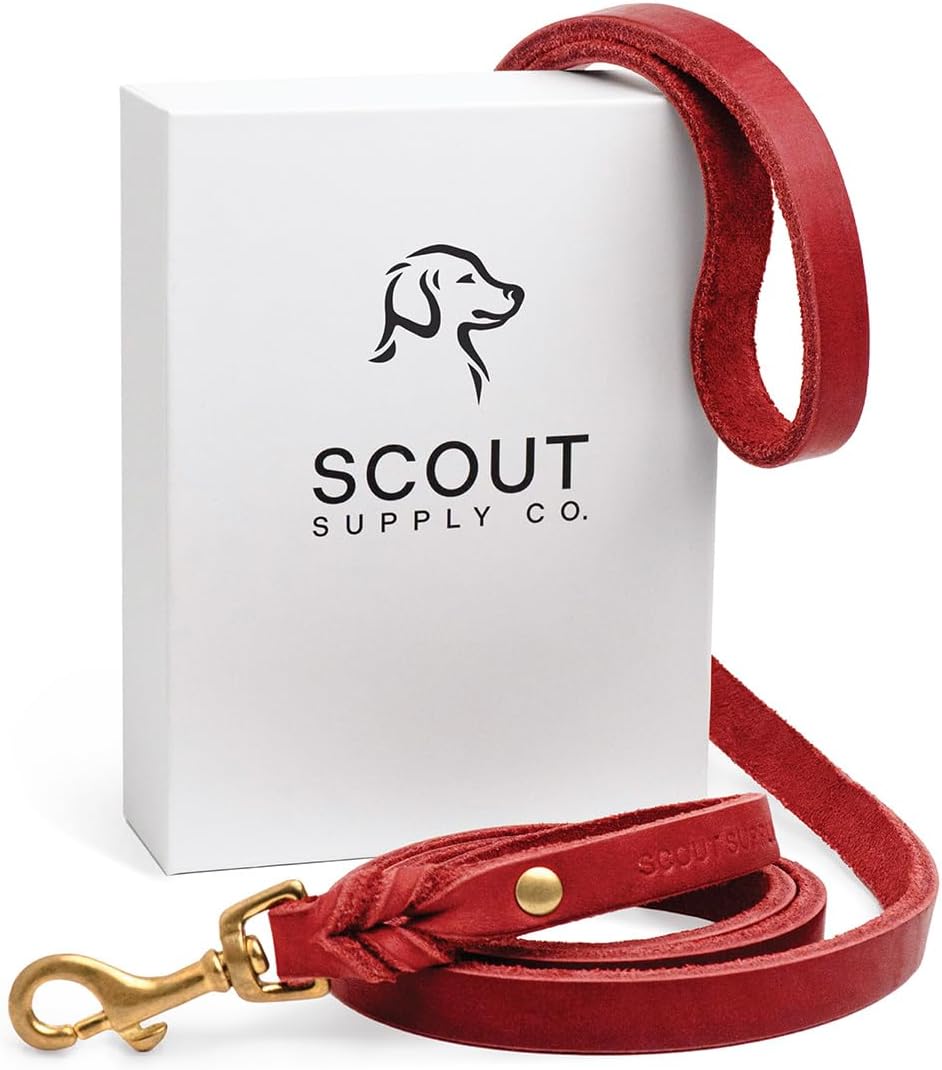 Scout Supply Classic Leather Dog Leash | Strong Heavy Duty Thick Full Grain Leather | Waterproof & Rust-Proof Brass Hardware (Dark Brown, M: 4.5 ft x 1/2 in)